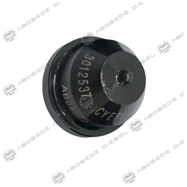 Dócháin CYEFI Optamaithe: 3001314 Bunaidh PT Injector Nozzle